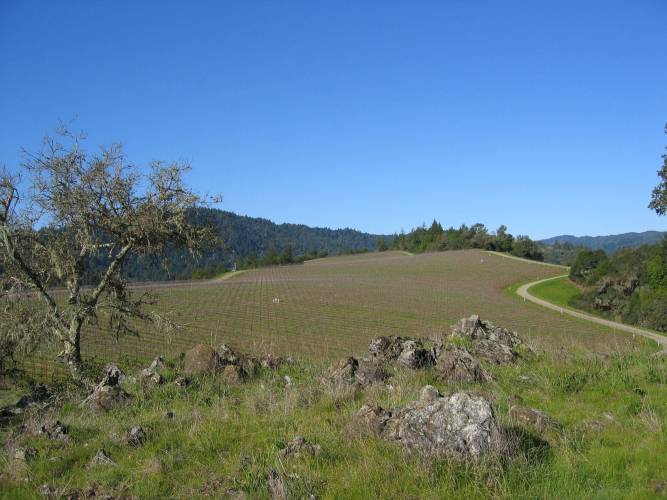 MacMurray Ranch - Sonoma County